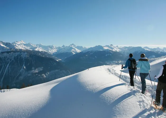 La Joie N- 1 By Interhome 公寓 克莱恩 蒙塔纳